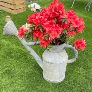 arroisoir la fabrique a souvenirs.webp