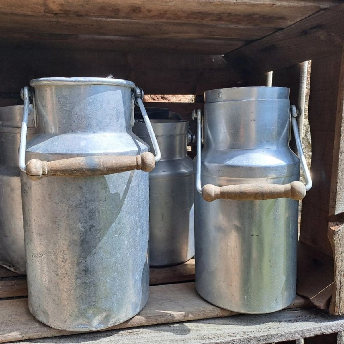 Location biche a lait la fabrique a souvenirs.webp